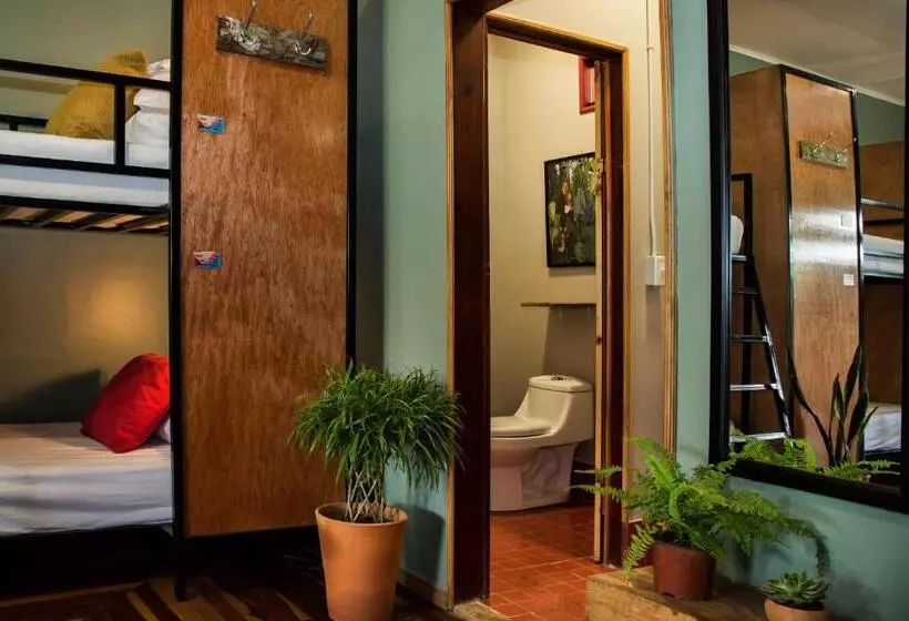 ホテル Selina Monteverde