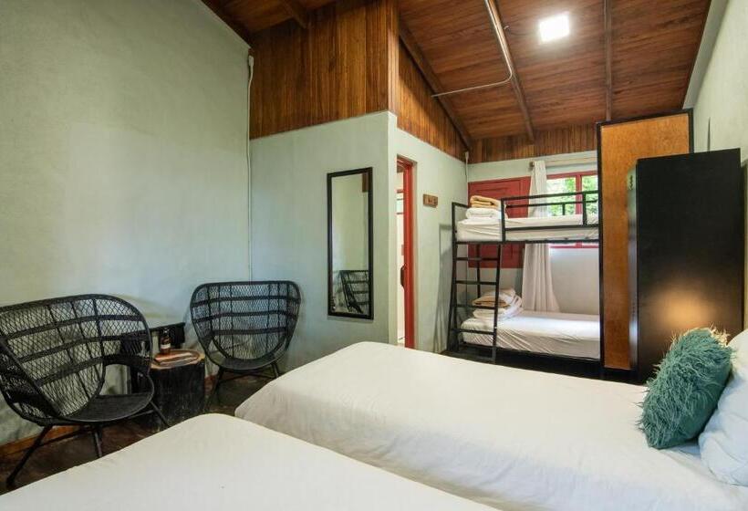 فندق Selina Monteverde