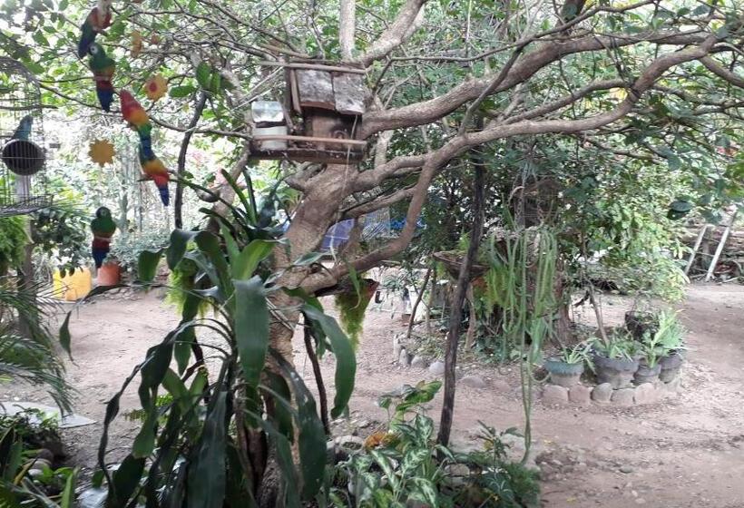 הוסטל Hostal Villa Cecilia