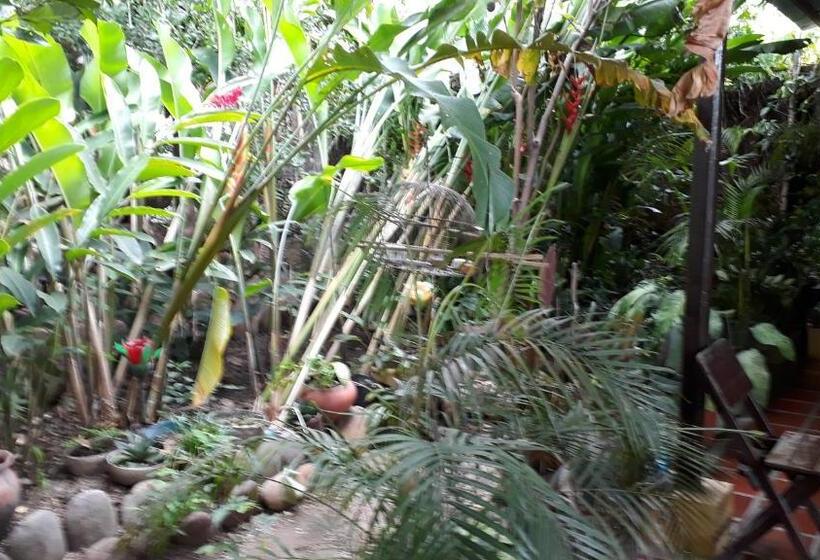 הוסטל Hostal Villa Cecilia