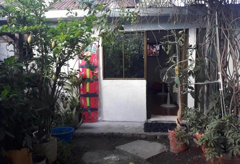 הוסטל Hostal Villa Cecilia