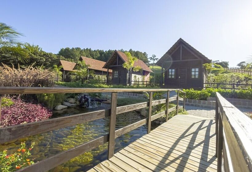 Общежитие Pousada Scursel