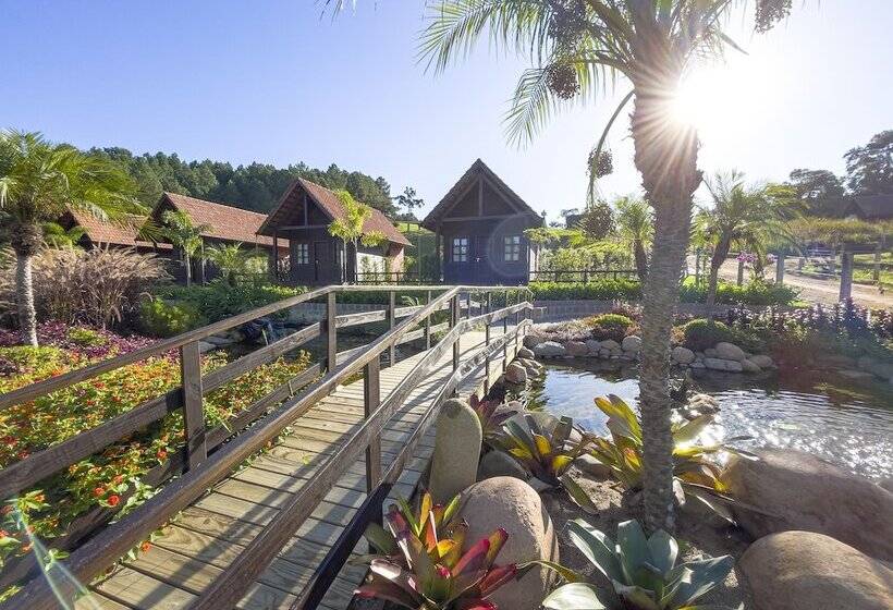 Общежитие Pousada Scursel