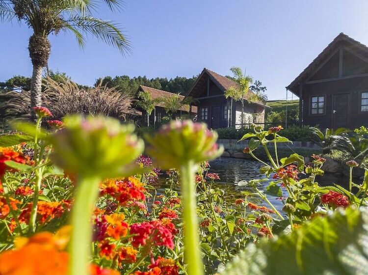 Общежитие Pousada Scursel