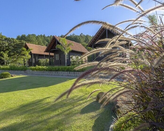 Общежитие Pousada Scursel