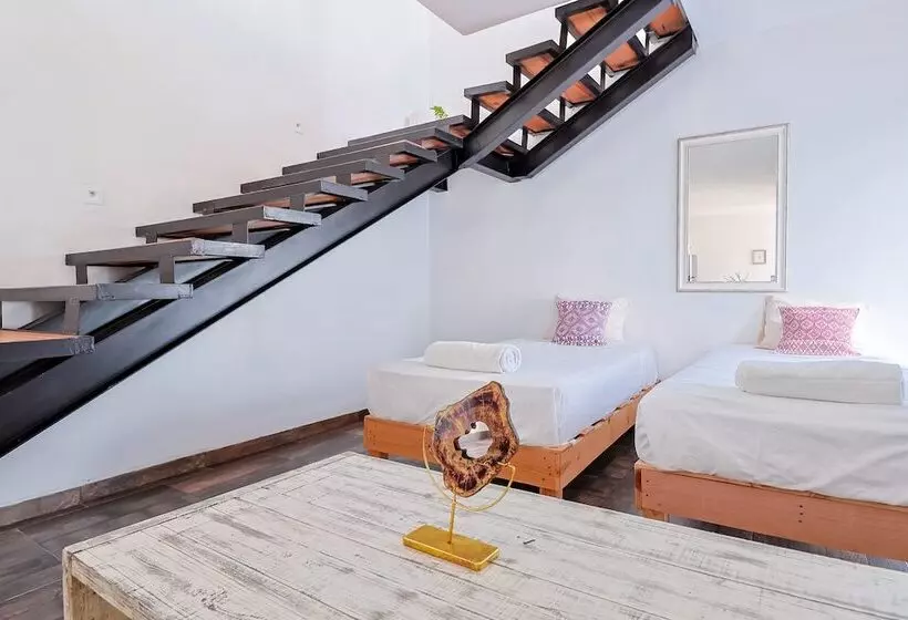 Arkana 9 Suites By Grupo Amber