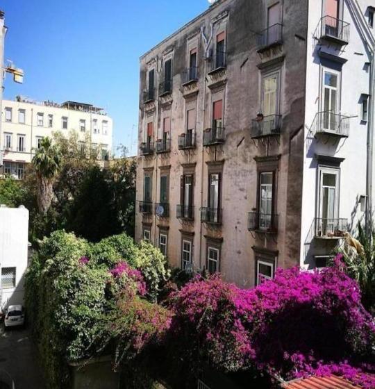 تختخواب و صبحانه Domus Luigi Leone Ii