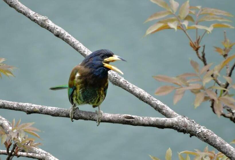 Bed and Breakfast Enchanted Hills Farmstay