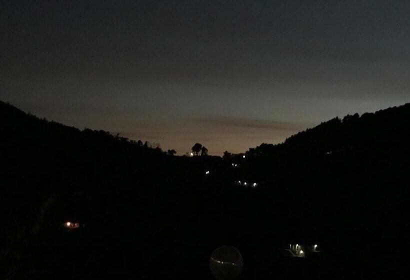 Bed and Breakfast Enchanted Hills Farmstay