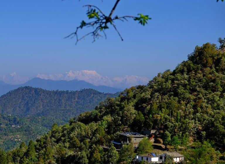 Bed and Breakfast Enchanted Hills Farmstay