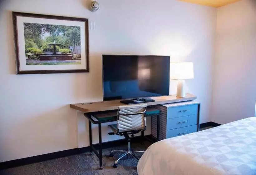 Hotelli Holiday Inn & Suites   Savannah Airport   Pooler, An Ihg