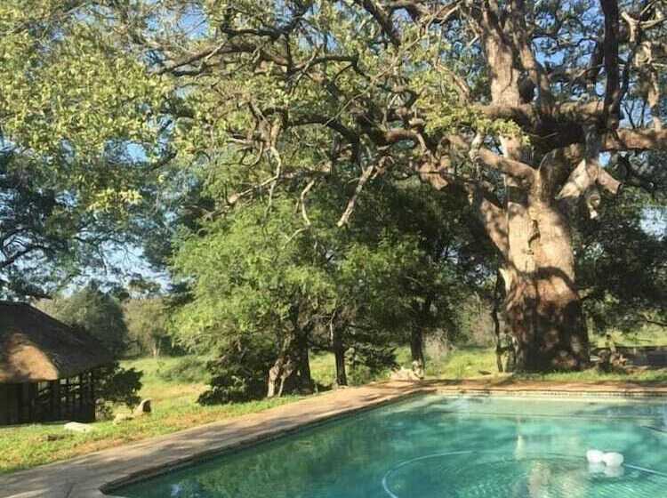 تختخواب و صبحانه Bosbok Lodge