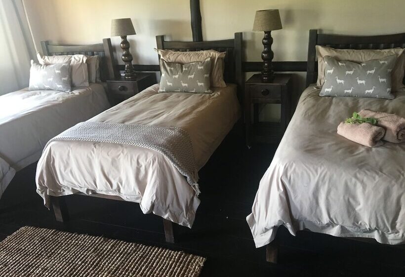 تختخواب و صبحانه Bosbok Lodge