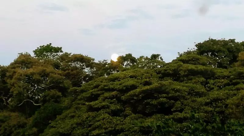 هتل Pibi Boreal