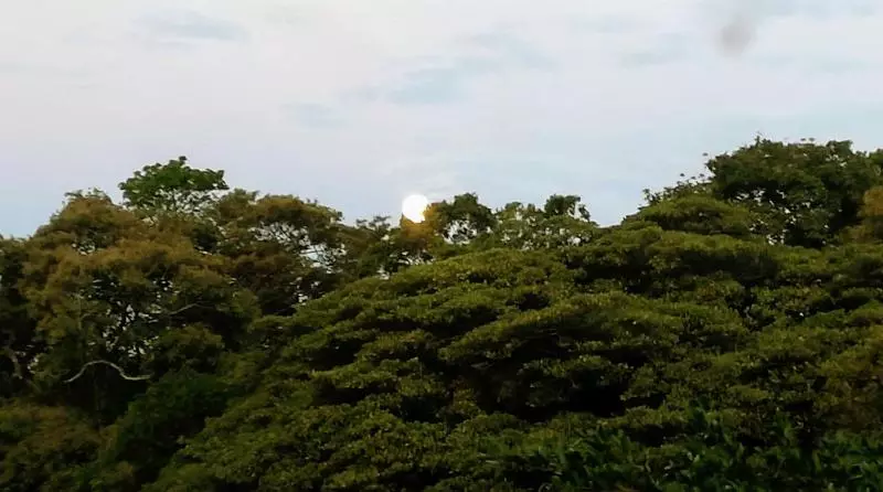 هتل Pibi Boreal