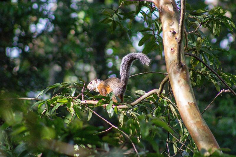 فندق Pibi Boreal