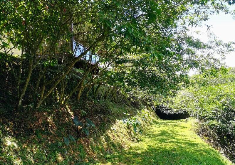 فندق Pibi Boreal