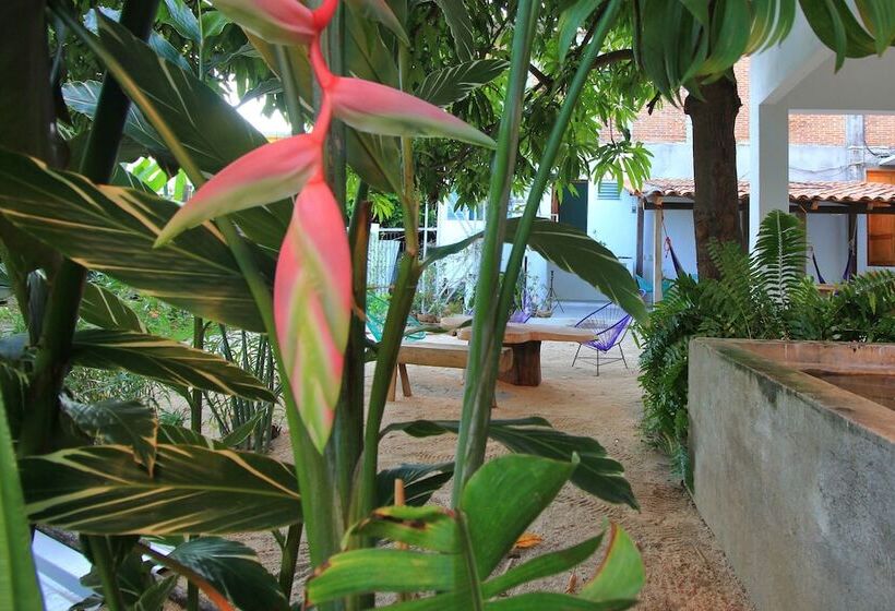 Пансион Paziflora Hostel