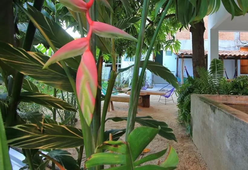Majatalo Paziflora Hostel