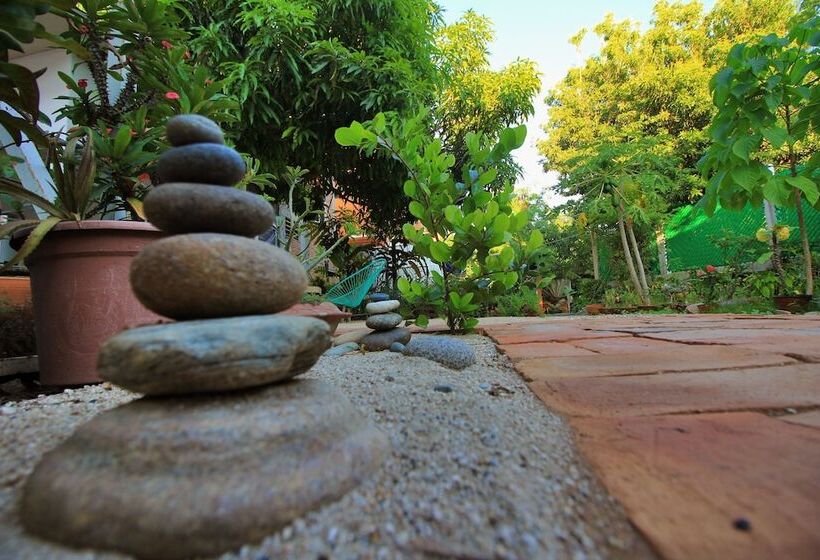 Пансион Paziflora Hostel