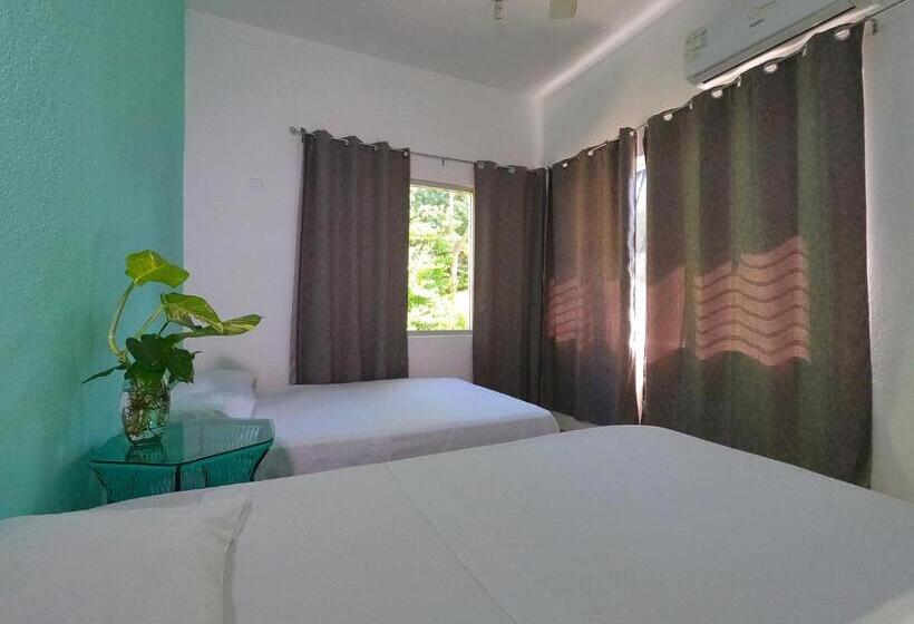 Пансион Paziflora Hostel