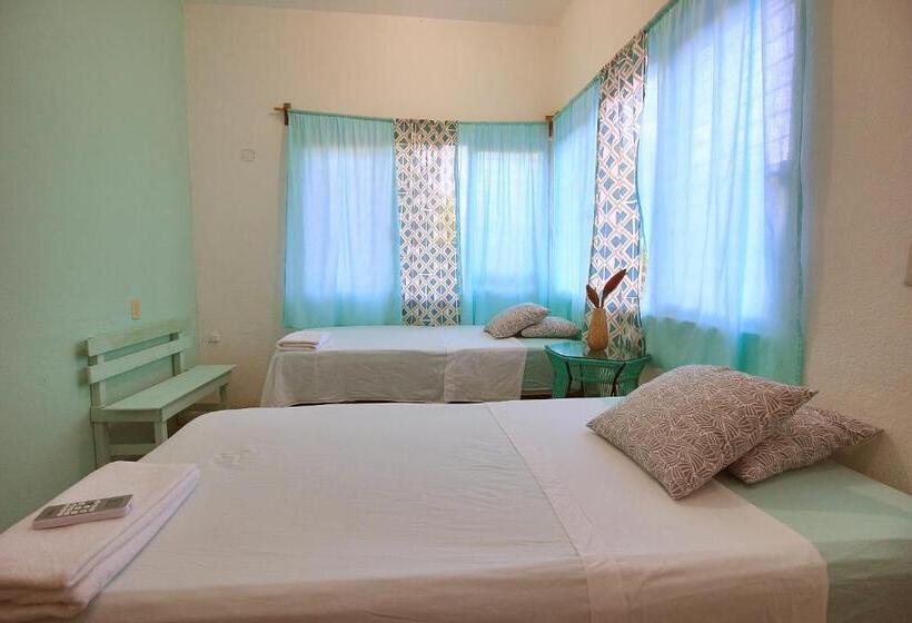 Пансион Paziflora Hostel