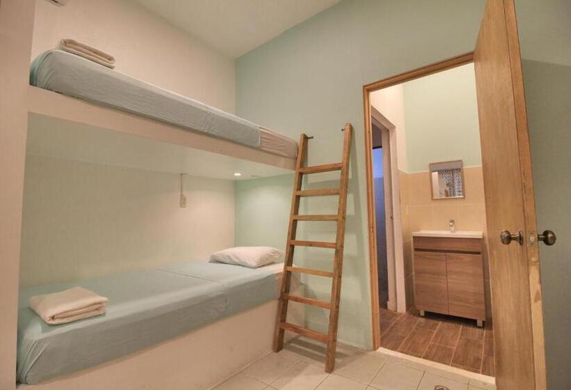 Пансион Paziflora Hostel