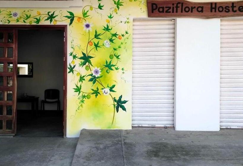 Пансион Paziflora Hostel