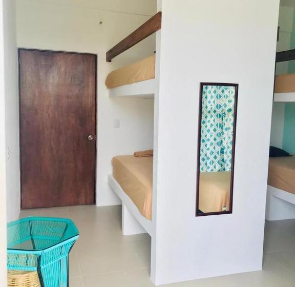 Пансион Paziflora Hostel