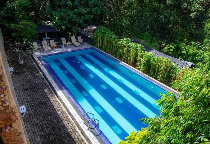 مبيت وإفطار Laluna Eco Resort Pvt Ltd