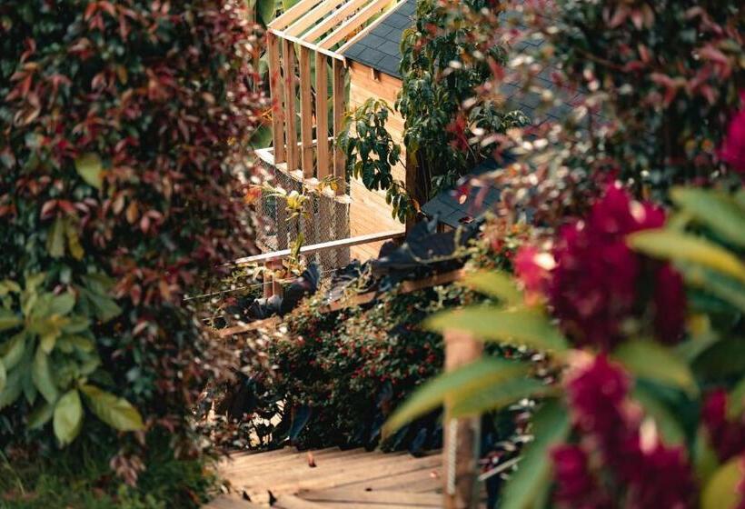 Hotel Teva Glamping & Retreat