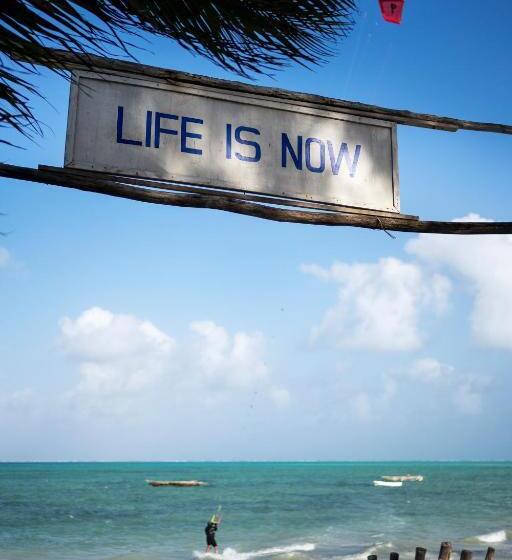 旅馆 New Teddy's On The Beach