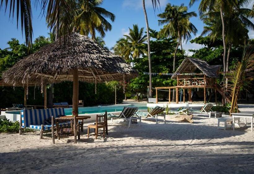 旅馆 New Teddy's On The Beach