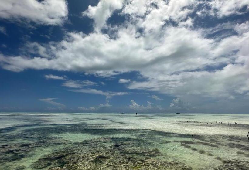 旅馆 New Teddy's On The Beach