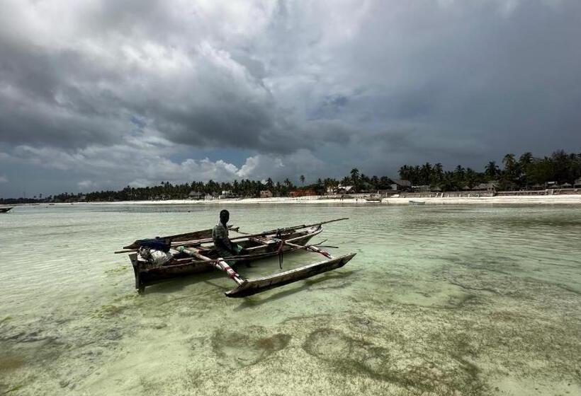 旅馆 New Teddy's On The Beach