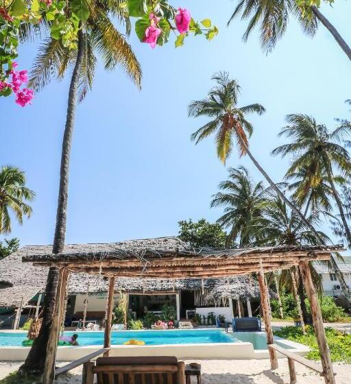 旅馆 New Teddy's On The Beach