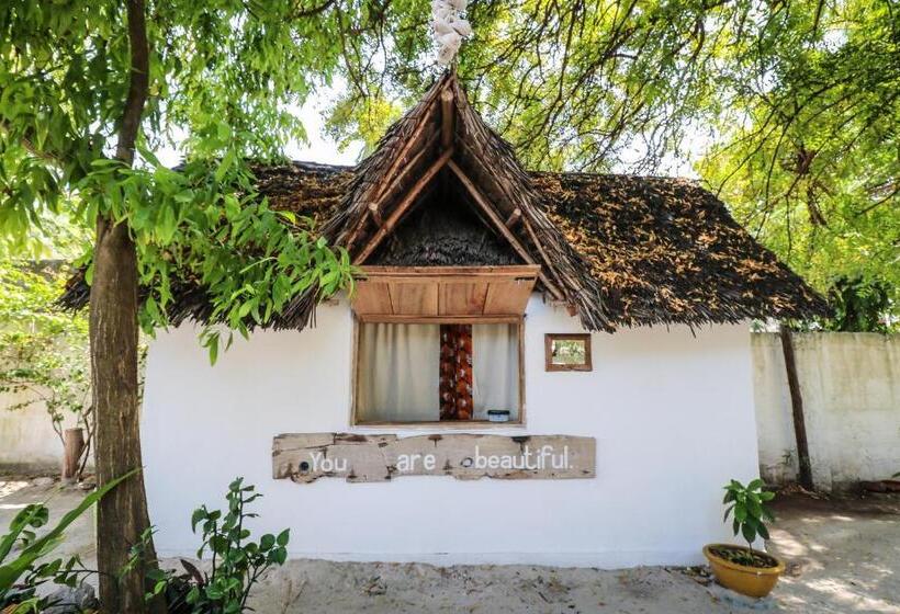 Hostel New Teddy's On The Beach