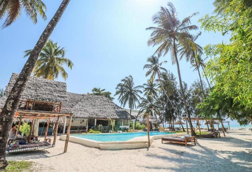 旅馆 New Teddy's On The Beach