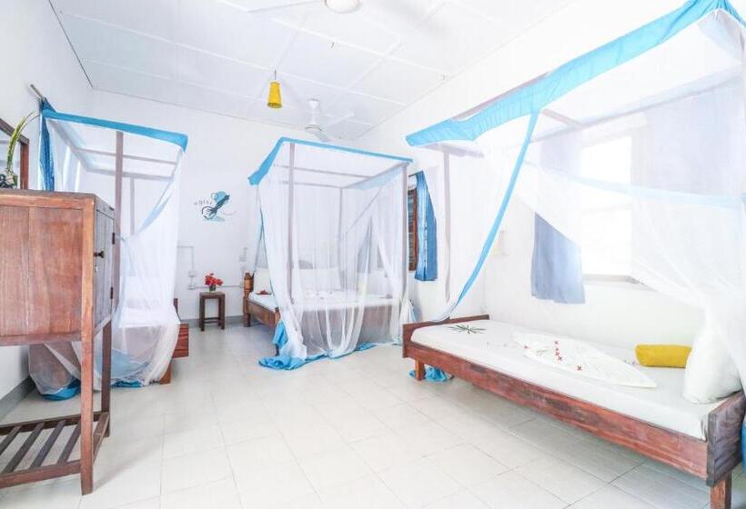 旅馆 New Teddy's On The Beach