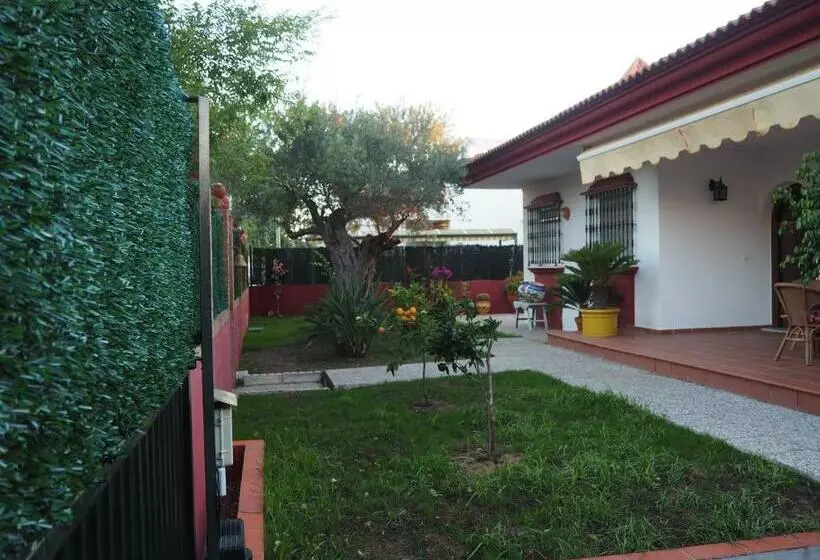 Aamiaismajoitus (B&B) Le Ali Del Cuore