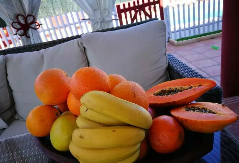 Aamiaismajoitus (B&B) Le Ali Del Cuore