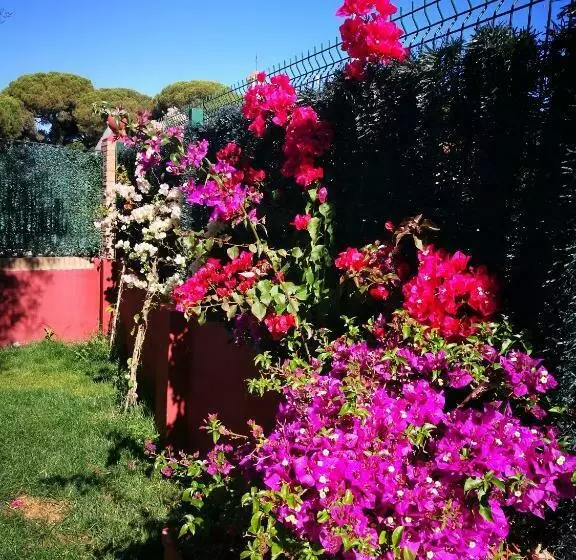 Aamiaismajoitus (B&B) Le Ali Del Cuore