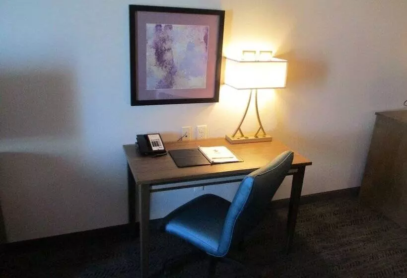 هتل Best Western Plus Rapid City Rushmore