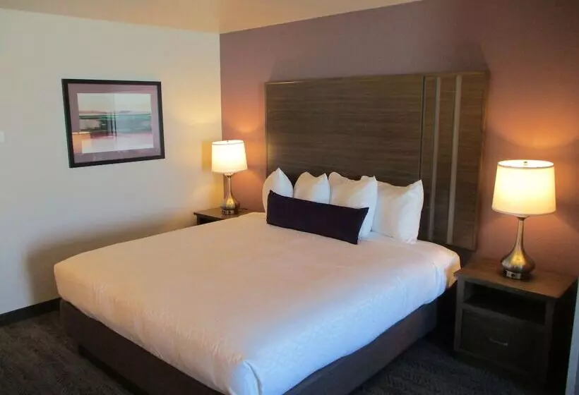 هتل Best Western Plus Rapid City Rushmore