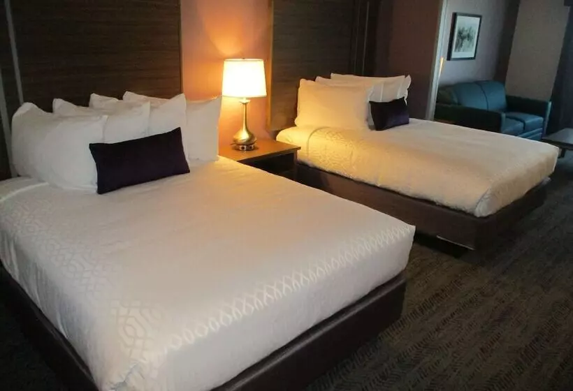 هتل Best Western Plus Rapid City Rushmore