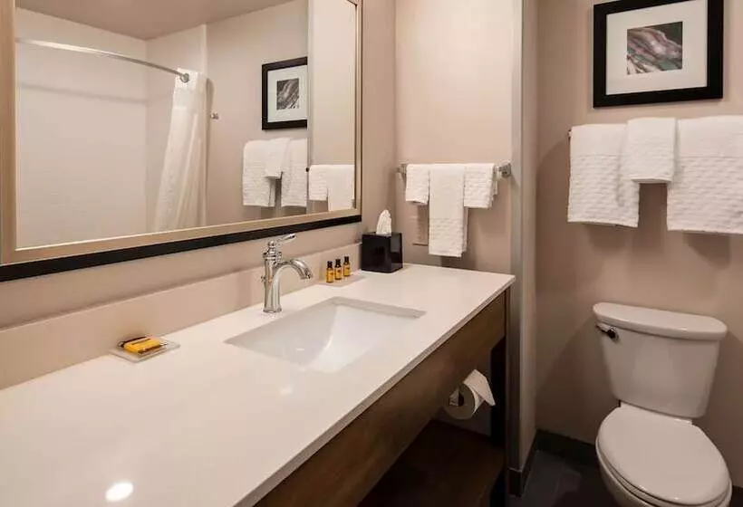 هتل Best Western Plus Rapid City Rushmore