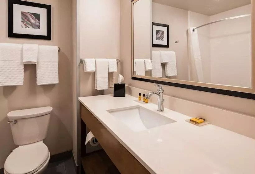 هتل Best Western Plus Rapid City Rushmore