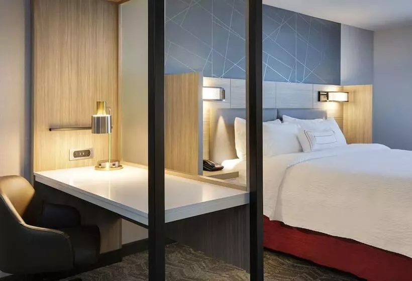 Hotelli Springhill Suites By Marriott Hampton Portsmouth