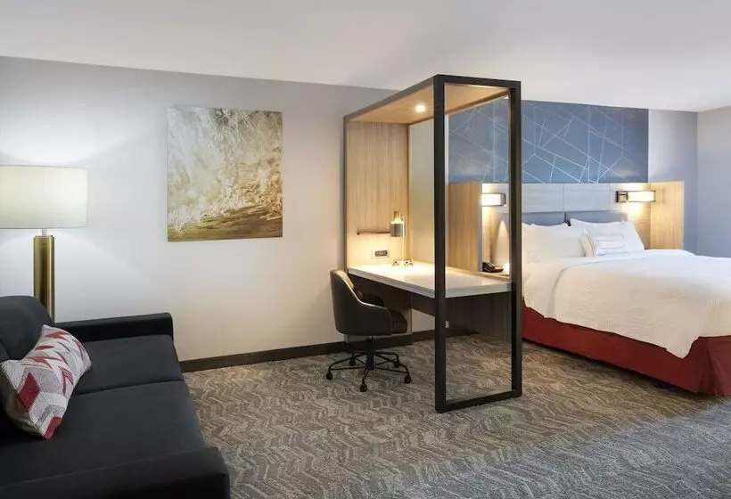 Hotelli Springhill Suites By Marriott Hampton Portsmouth