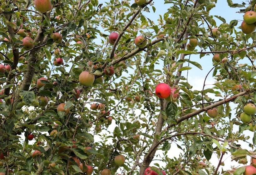 Fruitpark Hotel & Spa